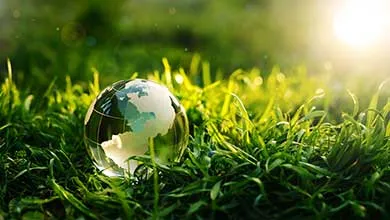 Globe in grass