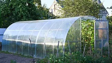 A long, arched greenhouse with translucent panels stands in a garden. An open door at one end shows tall, leafy plants inside.