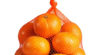 pack of oranges in orange mesh packaging on white background